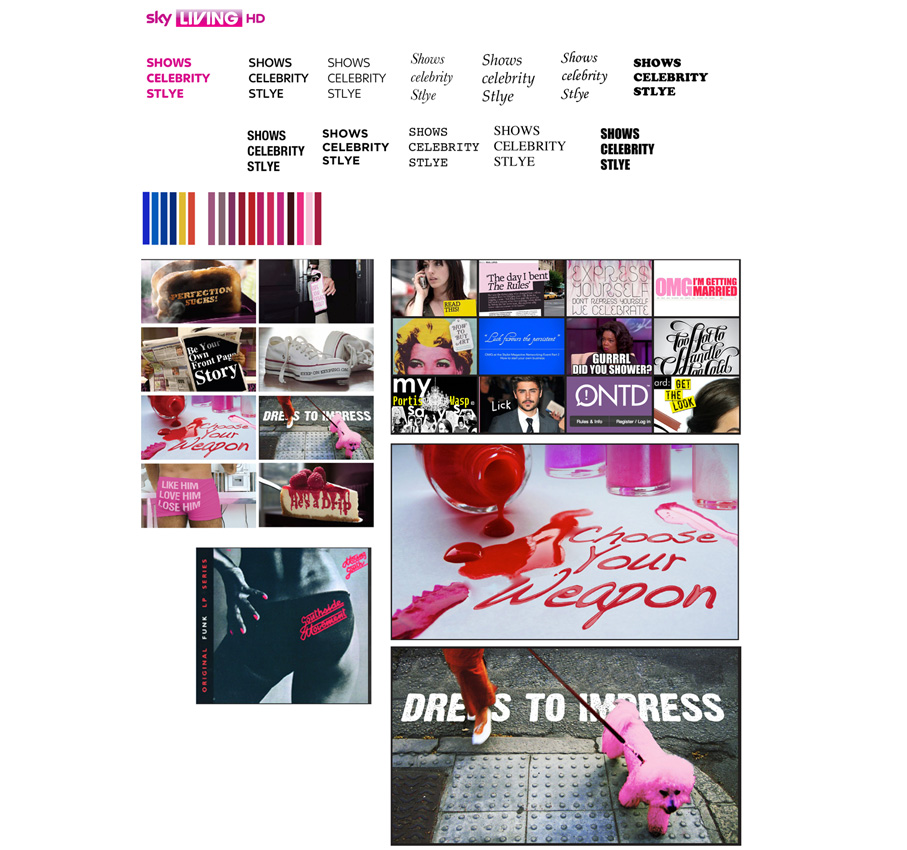 Sky Living - Brand development (before the the offical style guide)